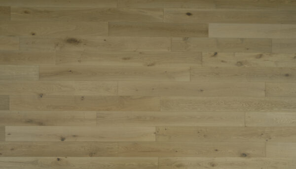 Cive - Image 2