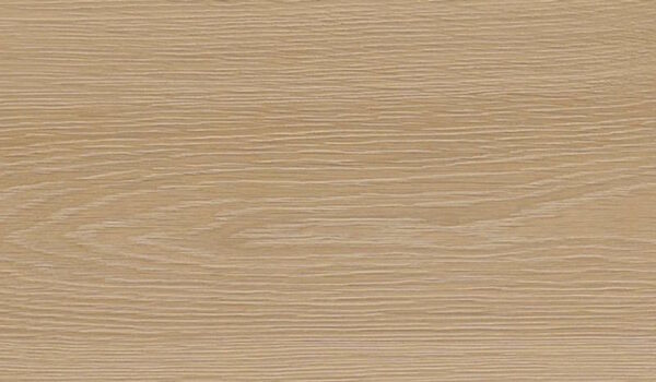 Surfside - Image 5